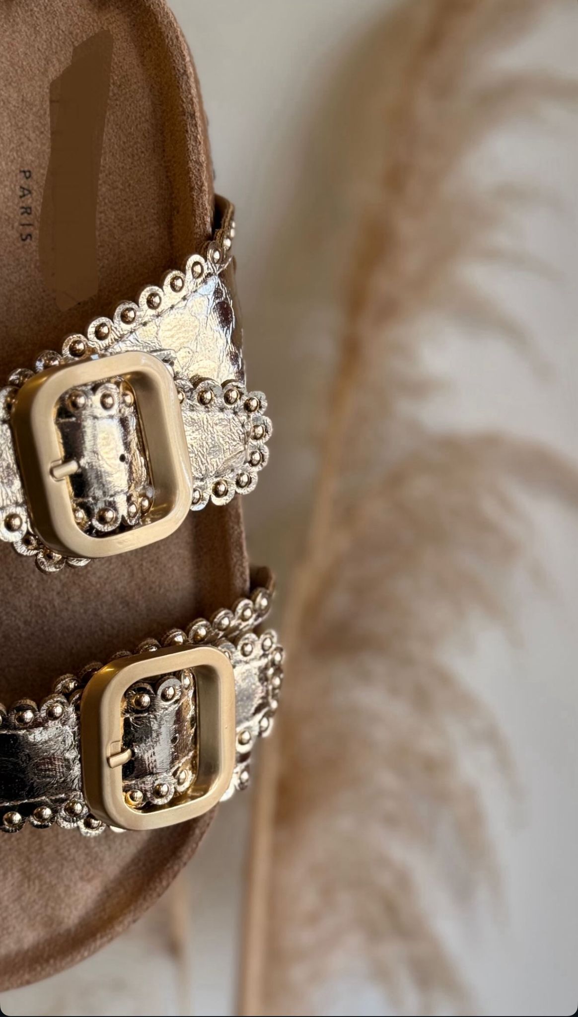 WhatsApp Image 2026-04-02 at 14.55.17 (1)